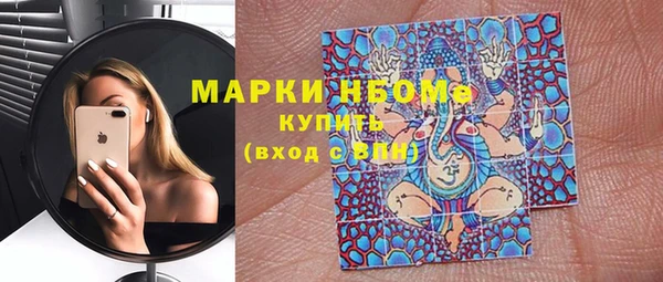 спиды Бикин