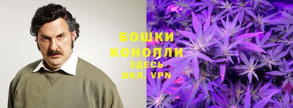 альфа пвп Няндома