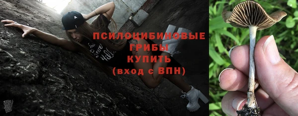 твердый Нязепетровск